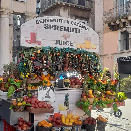 Casa Sveva, Finestra Sulla Storia Διαμέρισμα *